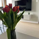 Tropical Novum Apartment - Krakow Old Town