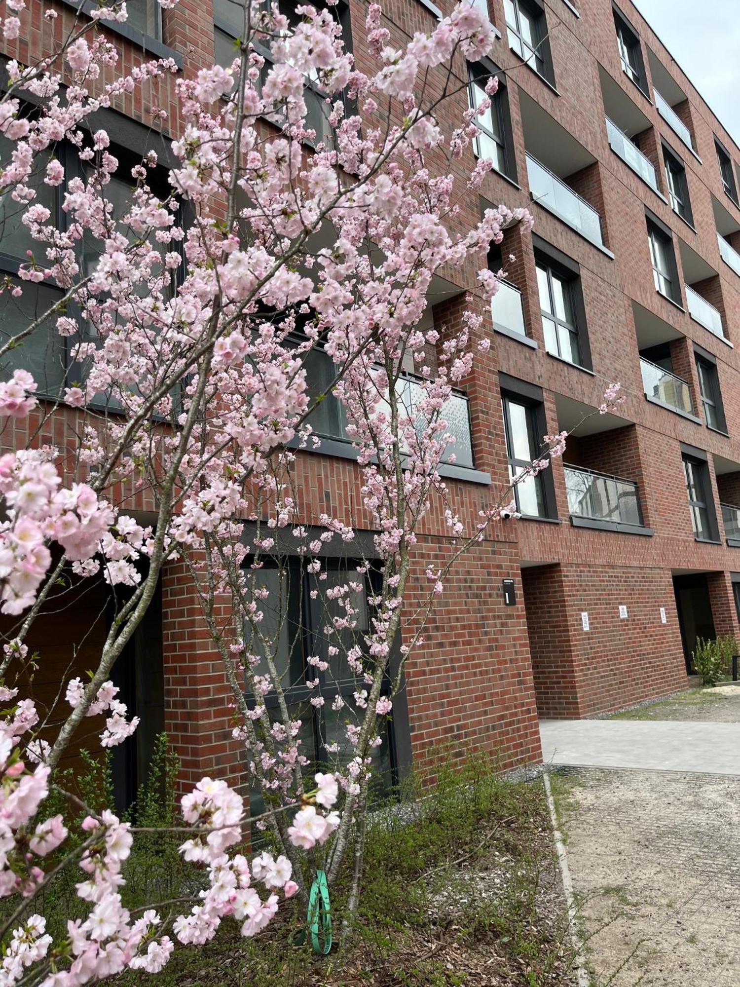 Apartament Tropical Novum - Old Town